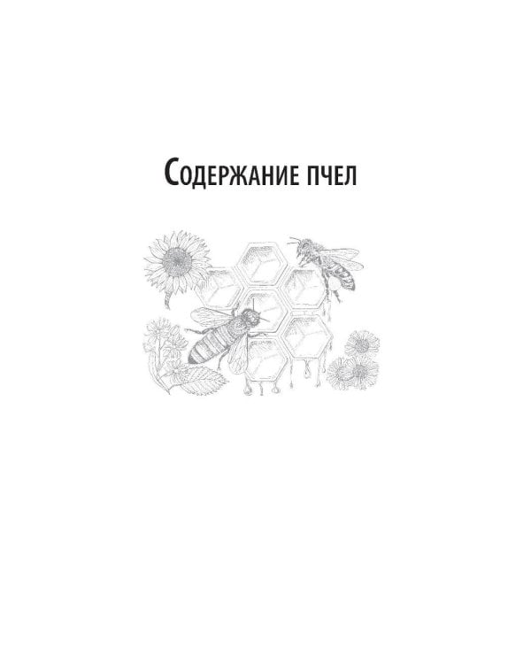 Пчеловодство для начинающих: практическое пошаговое руководство по созданию пасеки с нуля