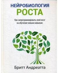 Нейробиология роста: как запрограммировать свой мозг на обучение новым навыкам