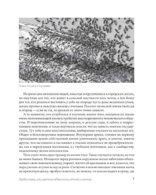 Пчеловодство для начинающих: практическое пошаговое руководство по созданию пасеки с нуля