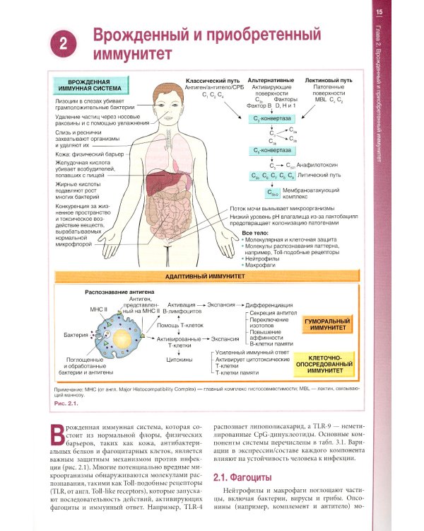 Наглядная медицинская микробиология и инфекции: Учебное пособие