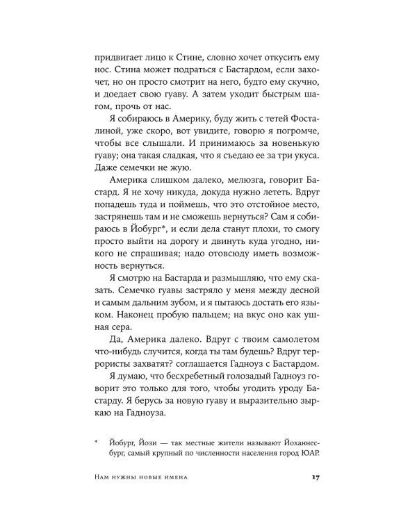 Дополнительное изображение книги «Нам нужны новые имена: роман»