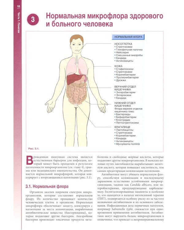 Наглядная медицинская микробиология и инфекции: Учебное пособие