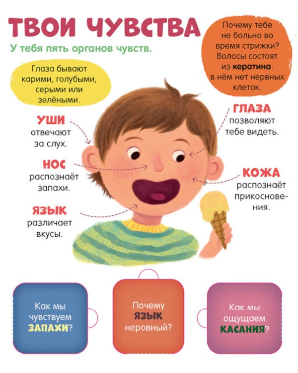 Тело человека