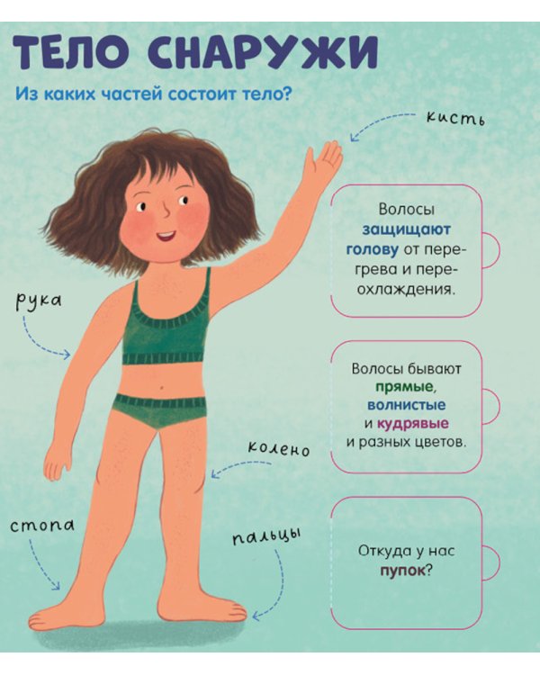 Тело человека