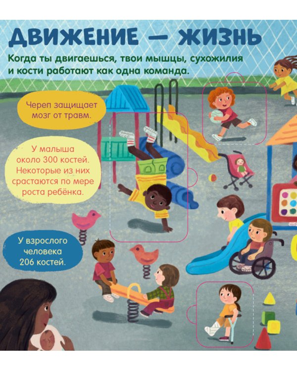 Тело человека