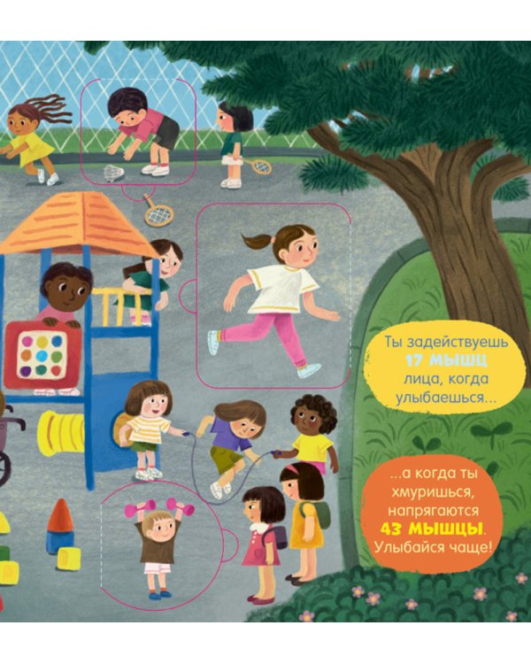 Тело человека