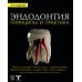 Эндодонтия. Принципы и практика. 6-е изд