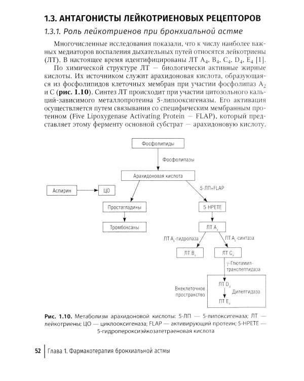Рациональная терапия бронхиальной астмы: руководство для врачей