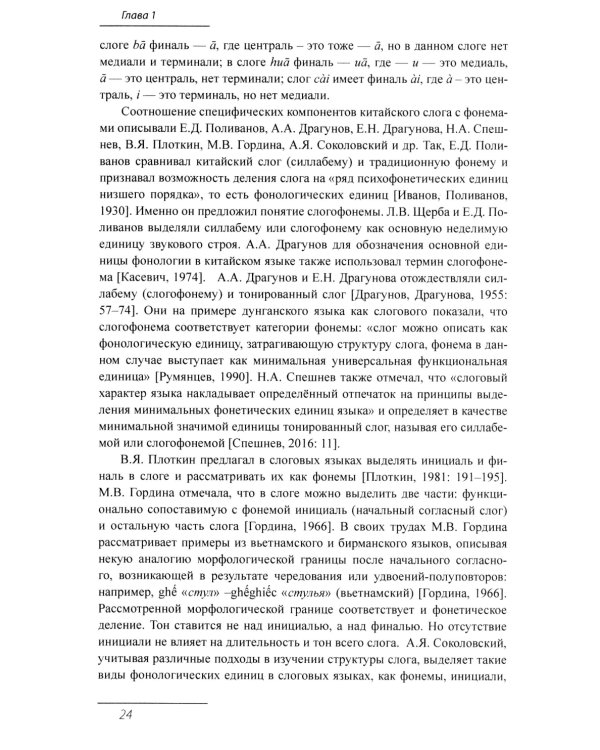 Китайское иероглифическое письмо: монография