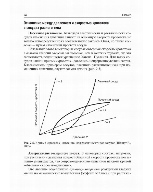Основы ангиологии: Учебное пособие