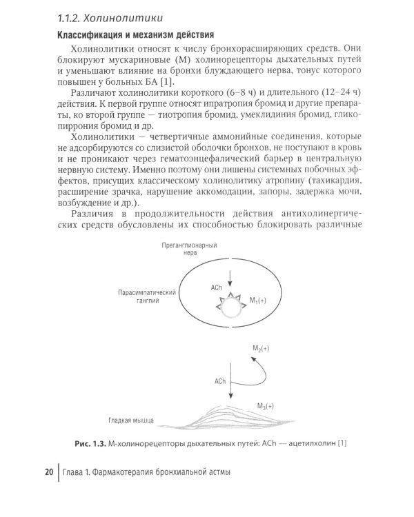 Рациональная терапия бронхиальной астмы: руководство для врачей