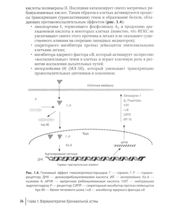 Рациональная терапия бронхиальной астмы: руководство для врачей