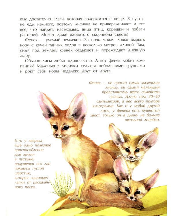 Животные-малютки. Кто на свете меньше всех? Вып. 163. 4-е изд