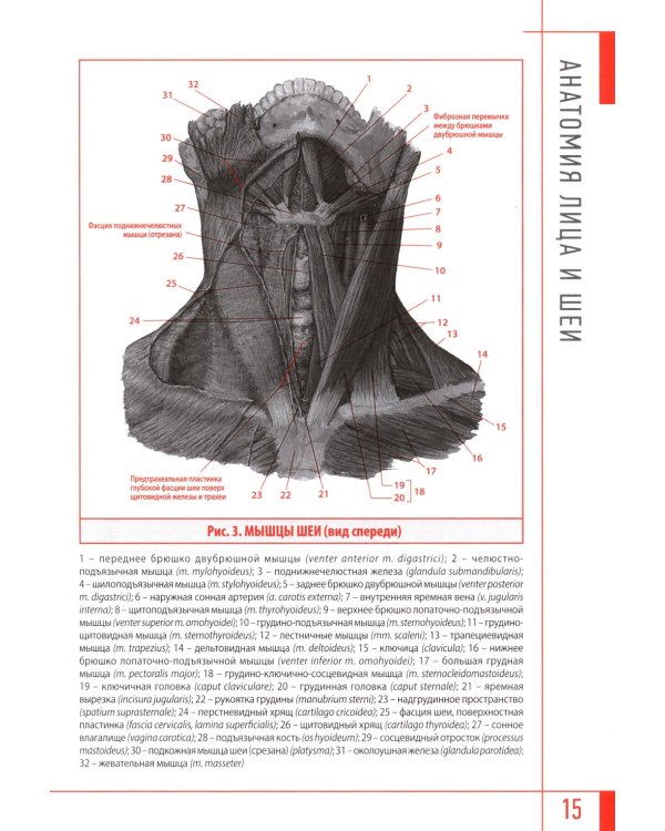 Эстетическая косметология. Массажные техники лица и шеи + мастер-классы  на DVD