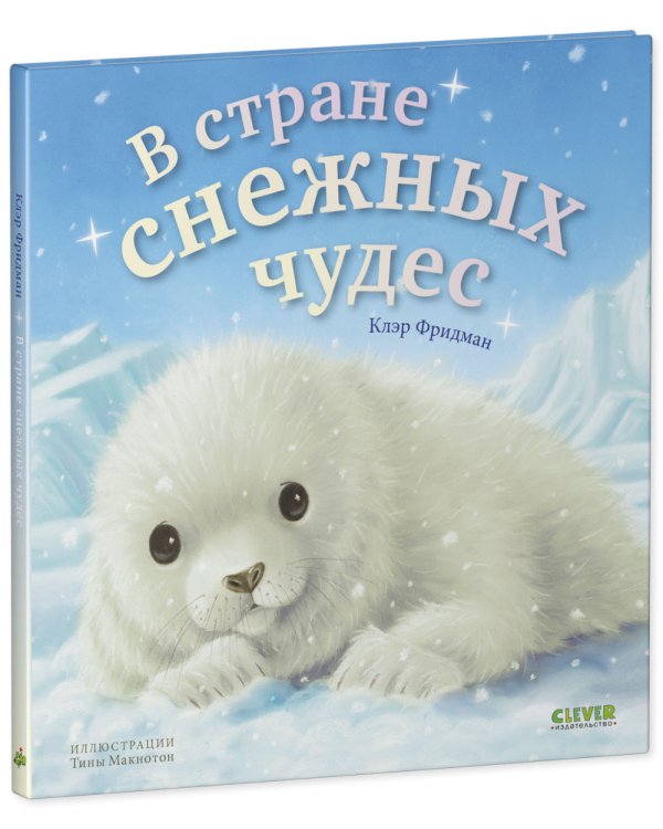 В стране снежных чудес