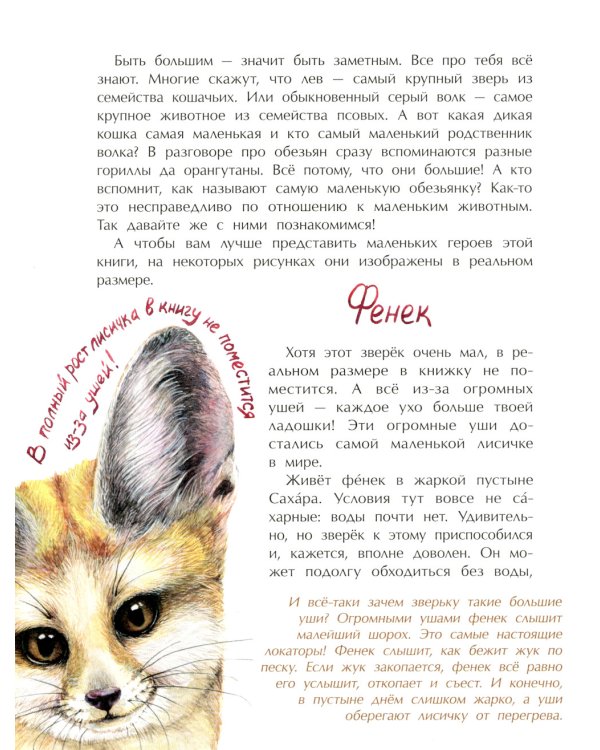 Животные-малютки. Кто на свете меньше всех? Вып. 163. 4-е изд