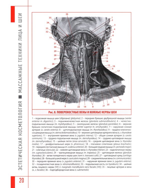 Эстетическая косметология. Массажные техники лица и шеи + мастер-классы  на DVD