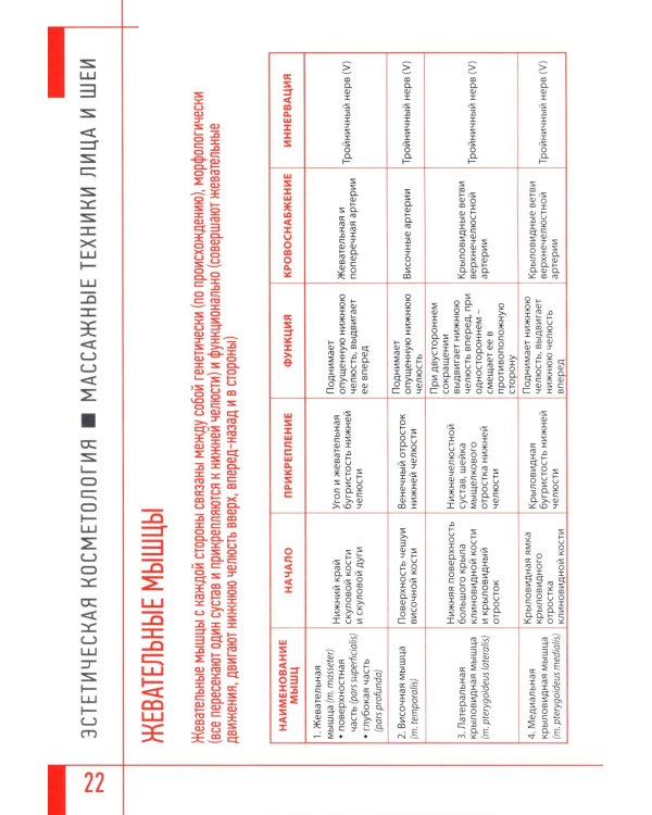 Эстетическая косметология. Массажные техники лица и шеи + мастер-классы  на DVD