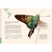 Загадочный мир бабочек. Энциклопедия