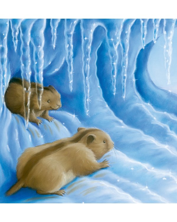 В стране снежных чудес