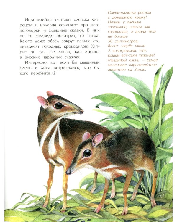 Животные-малютки. Кто на свете меньше всех? Вып. 163. 4-е изд