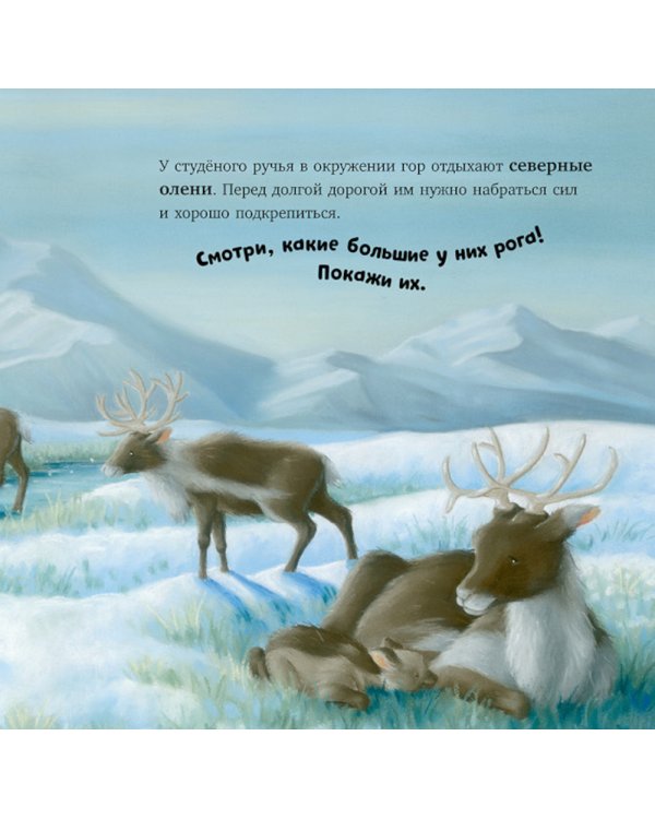 В стране снежных чудес