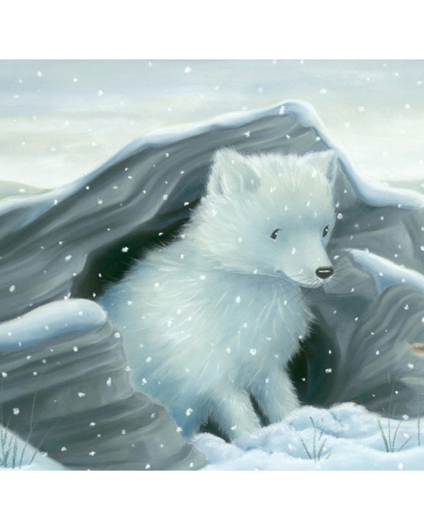 В стране снежных чудес