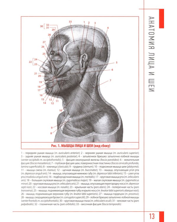 Эстетическая косметология. Массажные техники лица и шеи + мастер-классы  на DVD