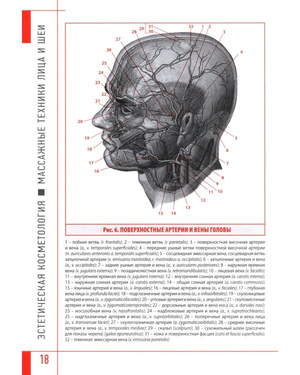 Эстетическая косметология. Массажные техники лица и шеи + мастер-классы  на DVD