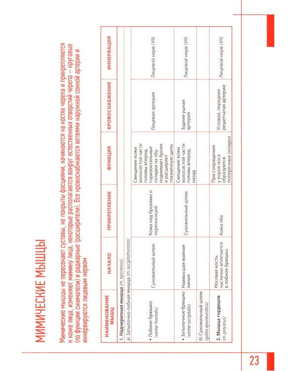 Эстетическая косметология. Массажные техники лица и шеи + мастер-классы  на DVD