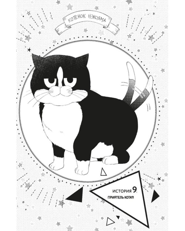 Дополнительное изображение книги «Кот и поцелуй. Т. 3: манга»