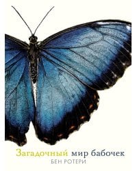 Загадочный мир бабочек. Энциклопедия