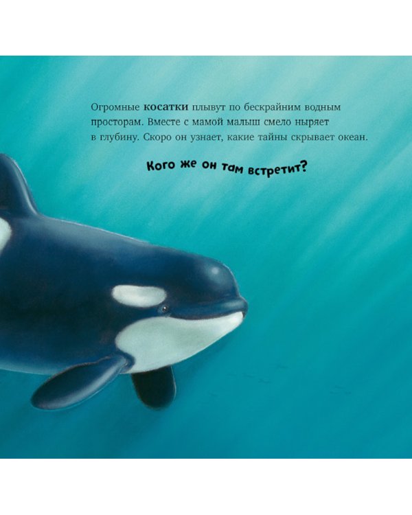 В стране снежных чудес