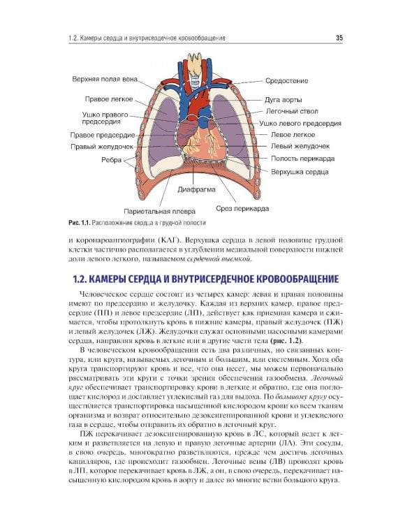 Кардиология: Учебник