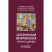 Эстетическая хирургия носа. Красота и здоровье