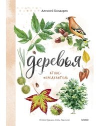 Деревья. Атлас-определитель