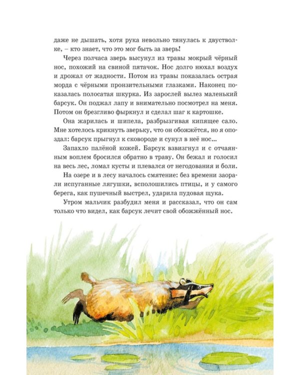 Дополнительное изображение книги «Кот-ворюга. Рассказы и сказки»