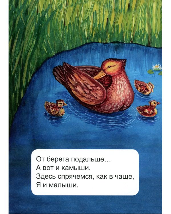 Уточки