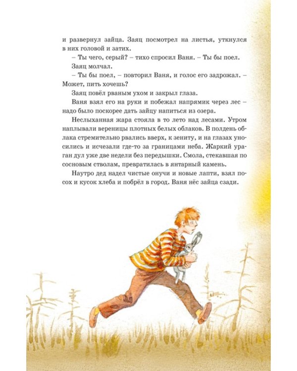 Дополнительное изображение книги «Кот-ворюга. Рассказы и сказки»