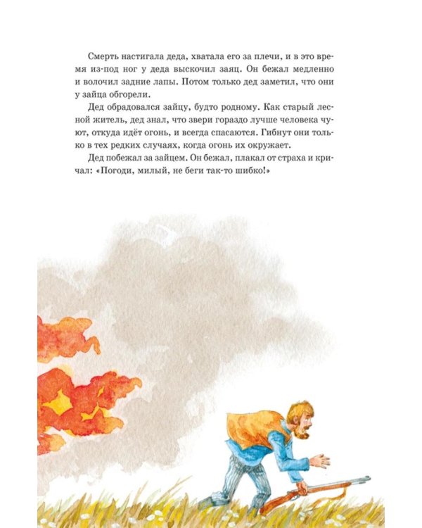 Дополнительное изображение книги «Кот-ворюга. Рассказы и сказки»
