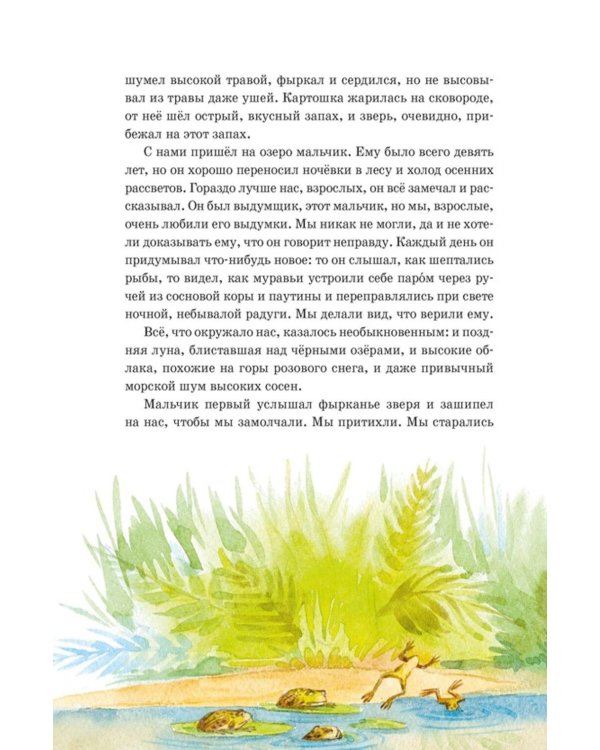 Дополнительное изображение книги «Кот-ворюга. Рассказы и сказки»
