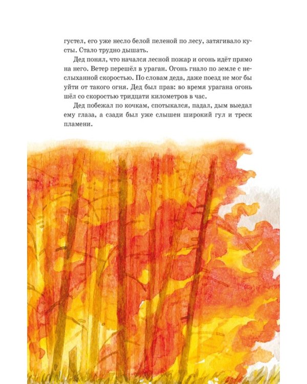 Дополнительное изображение книги «Кот-ворюга. Рассказы и сказки»