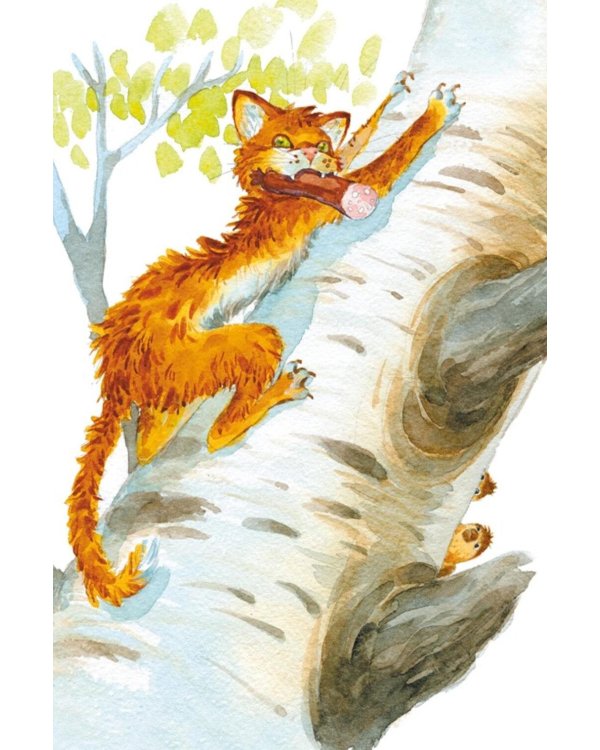 Дополнительное изображение книги «Кот-ворюга. Рассказы и сказки»