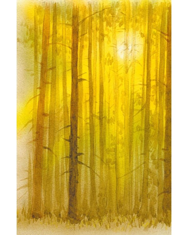 Дополнительное изображение книги «Кот-ворюга. Рассказы и сказки»