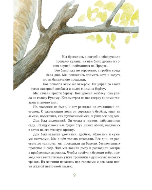 Дополнительное изображение книги «Кот-ворюга. Рассказы и сказки»