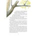 Дополнительное изображение книги «Кот-ворюга. Рассказы и сказки»