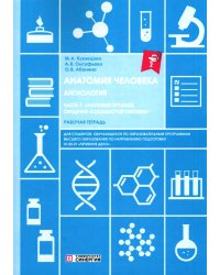 Анатомия человека: Ангиология Ч. 7: Анатомия органов сердечно-сосудистой системы. Рабочая тетрадь