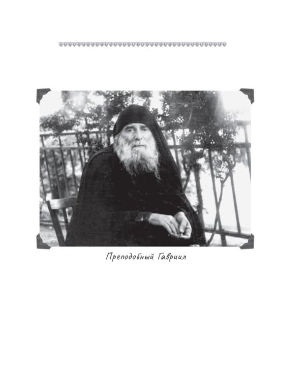 Юродивый. Преподобный Гавриил (Ургебадзе). 5-е изд