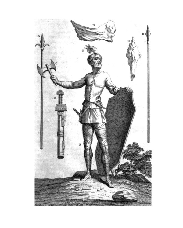 История французского войска. Т. 1 (1)
