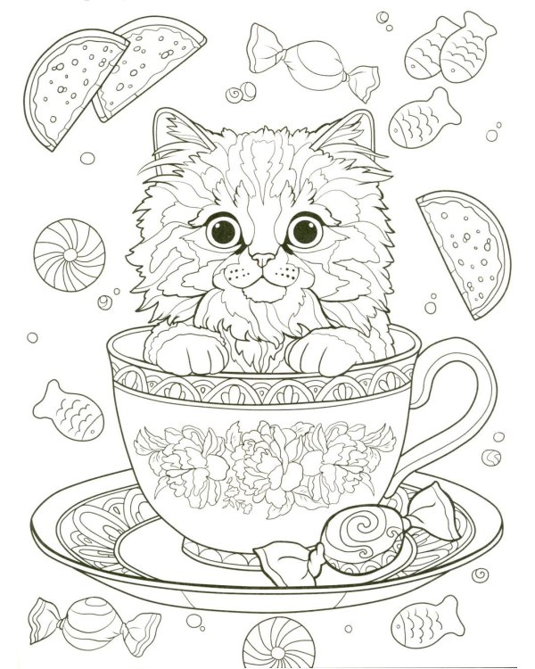Кошки: книжка-раскраска